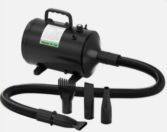 dog hairdryer